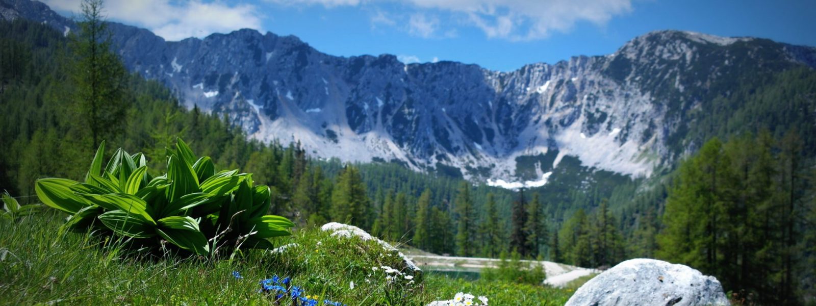 Die Petzen - alpine Pracht im Süden Kärntens