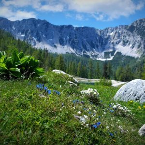 Die Petzen - alpine Pracht im Süden Kärntens