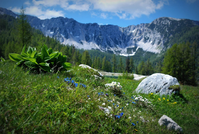 ÖFFNUNGSZEITEN – Sommer-Seilbahnbetrieb auf der Petzen
16. Mai – 2. November 2025
DETAILS:
16. Mai – 9. Juni 2025: jeweils Freitag – Sonntag und Feiertage
13. Juni – 7. September 2025: täglich
11. September &#821…