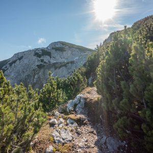 Wanderparadies, an der Grenze zwischen Kärnten und Slowenien