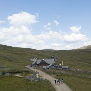 Nockberge-Almidylle auf der "Blutigen Alm", hoch ober der Innerkrems