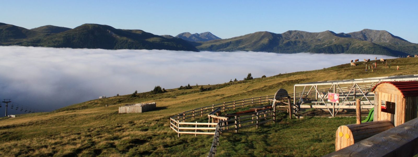 Aus dem Nebel auf den Berg - Blick von der "Blutigen Alm" auf das Nebelmeer im Tal