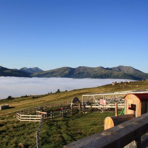 Aus dem Nebel auf den Berg - Blick von der "Blutigen Alm" auf das Nebelmeer im Tal