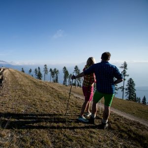 Nordic Walking am Goldeck