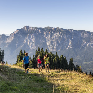 Familien-Wandern am Dreiländereck