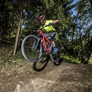 Weissensee - die Mountainbike-Naturtrails führen - wenn man will, herausfordernd - teils über Wiesen, teils im Wald ins Tal