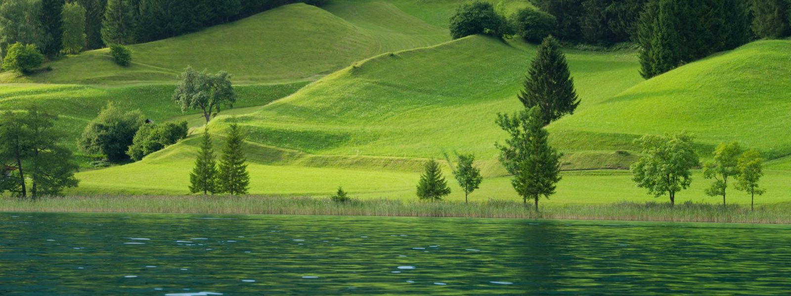 Blick auf den Naturidylle am Weissensee - im Vordergrund der See, dahinter die saftig-grüne Wiesen-Waldlandschaft